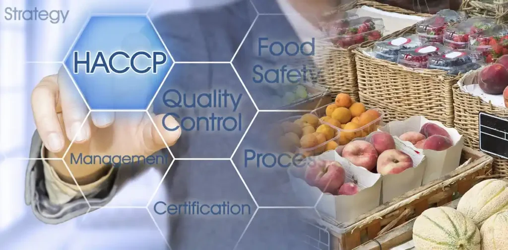 Co trzeba wiedzieć o HACCP?